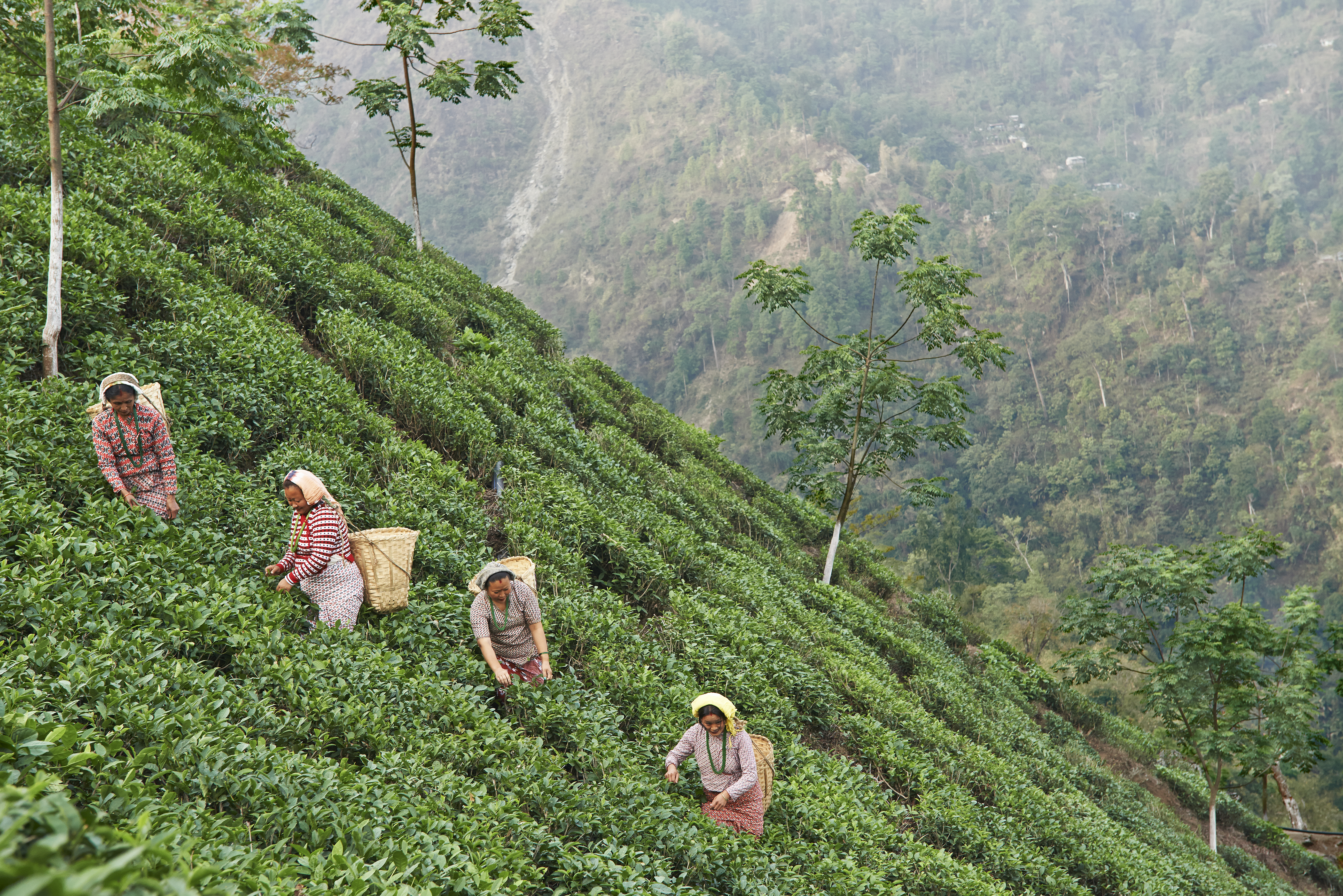 west bengal assembly election 2026