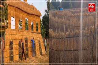 The people of Dibrugarh are ready to celebrate Bohag Bihu with different shapes Bhela Ghar