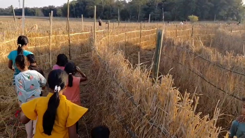 The people of Dibrugarh are ready to celebrate Bohag Bihu with different shapes Bhela Ghar