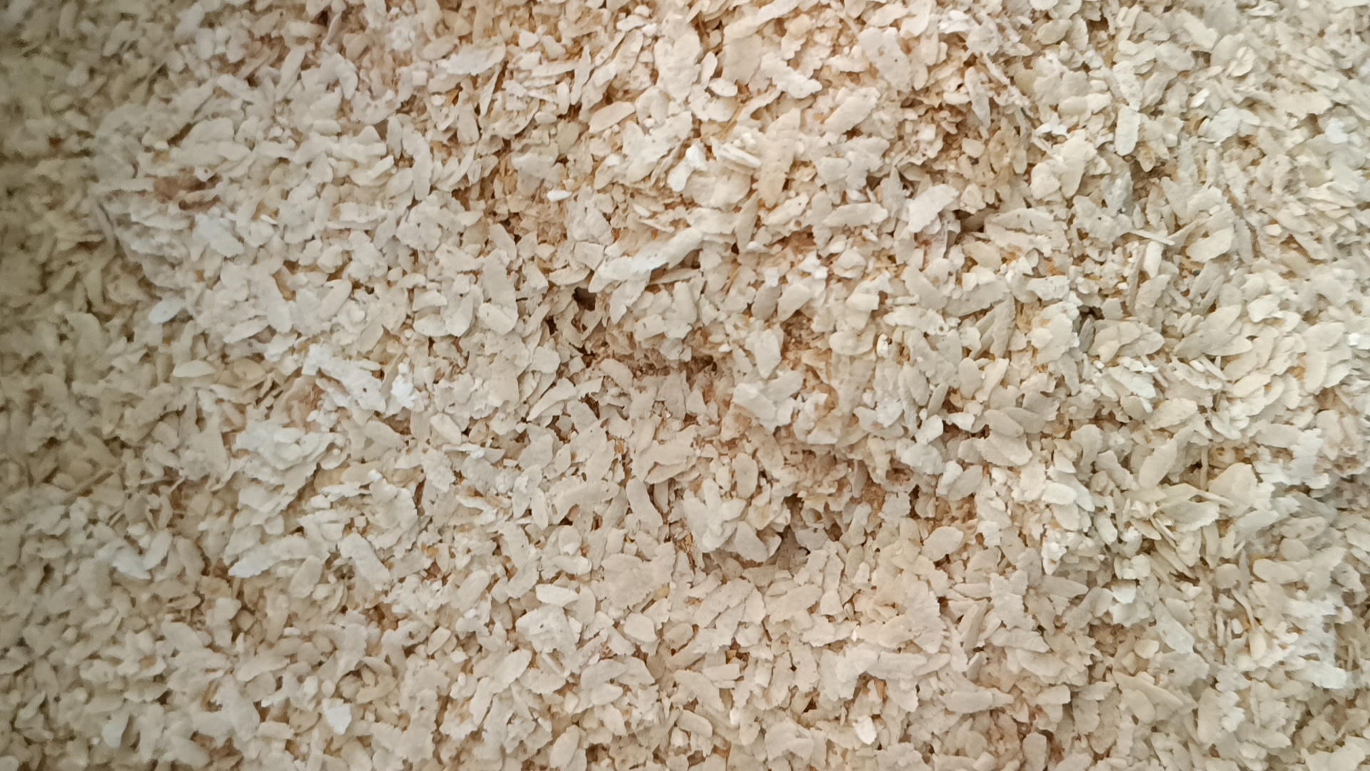 A couple from Barpeta has become self-reliant by setting up a small-scale industry