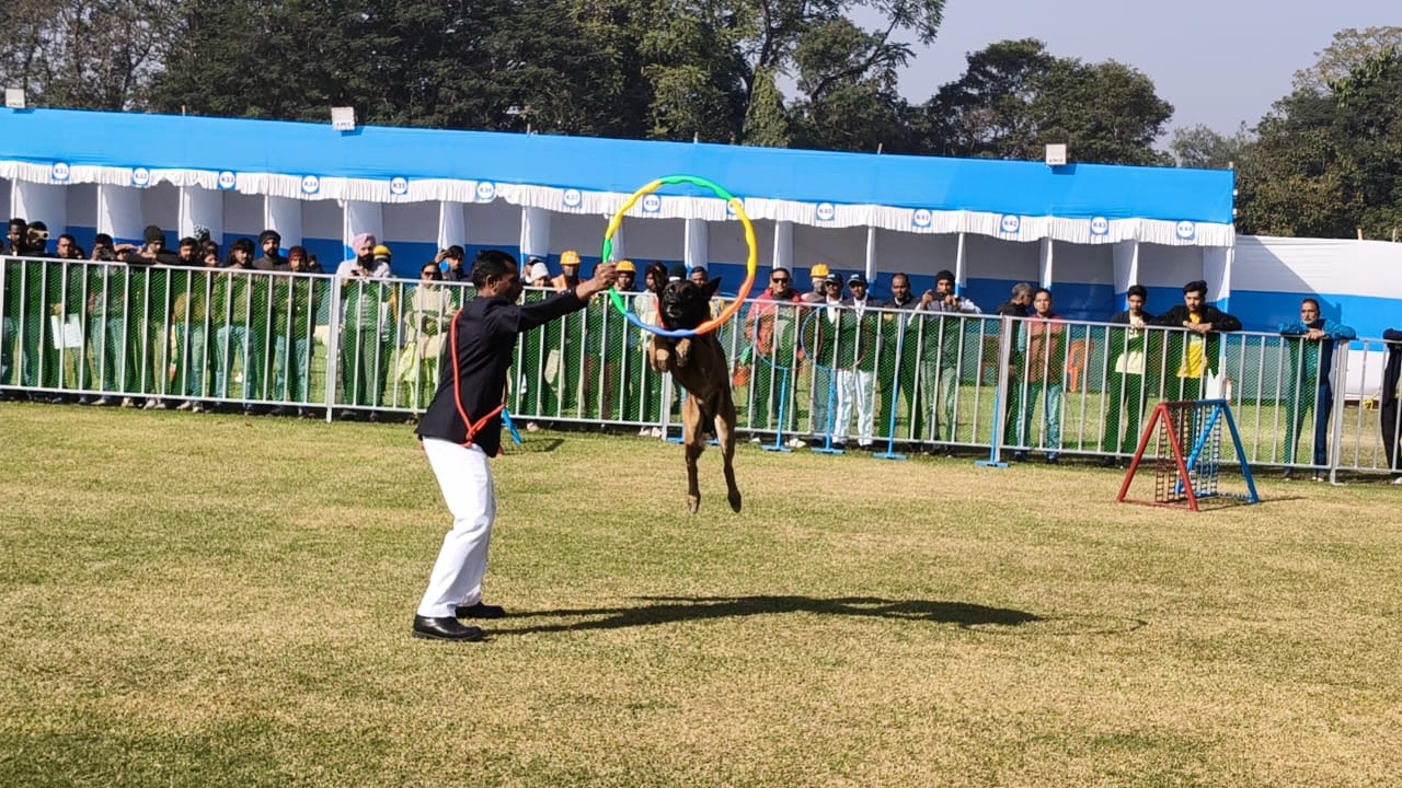 International Dog Championship Show