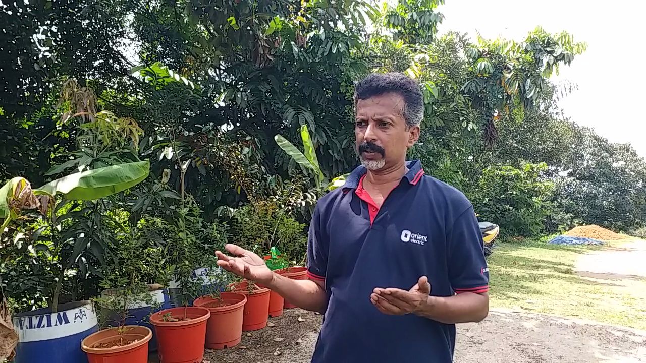 MALABAR GLIDING FROG  RARE FROG  BIODIVERSITY  WILDLIFE