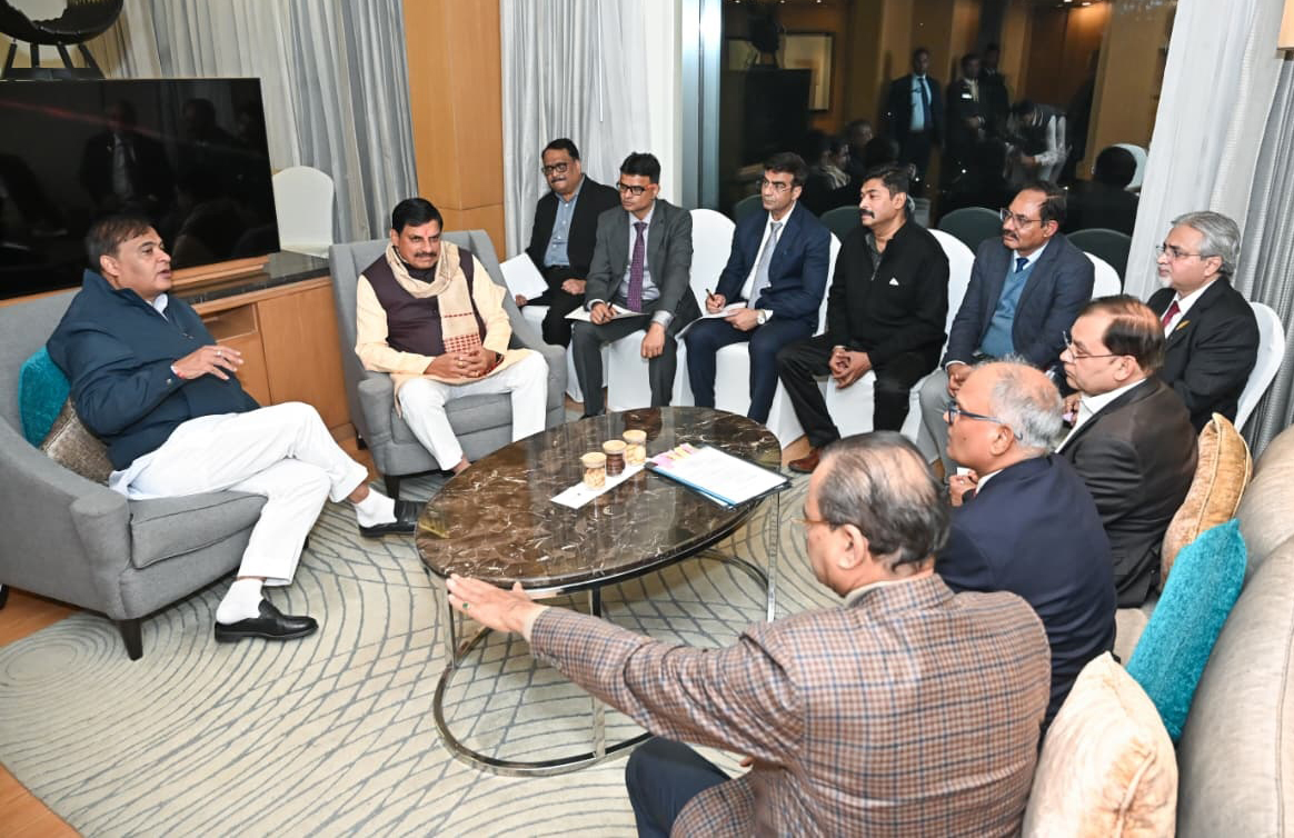 Wild Buffalos to Return MP