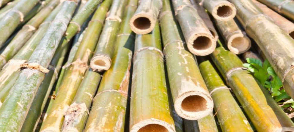 National Bamboo Conclave 2026