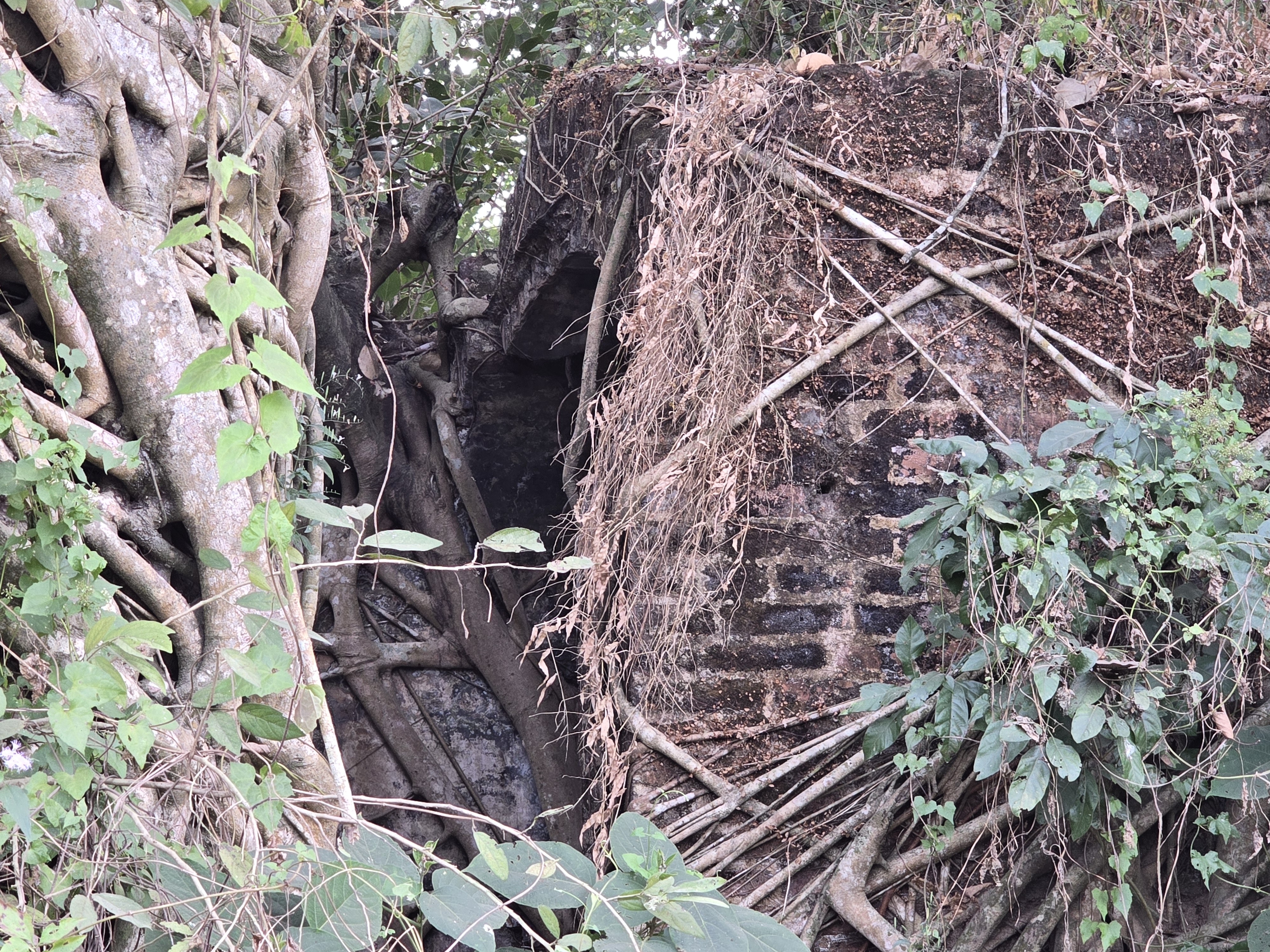 British Ear Miracle Temple