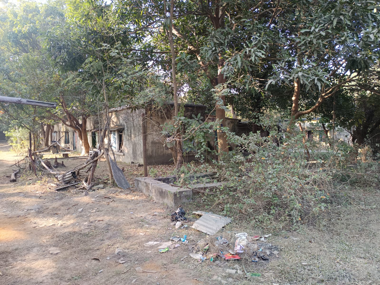 Minor Girl Sexual Assault