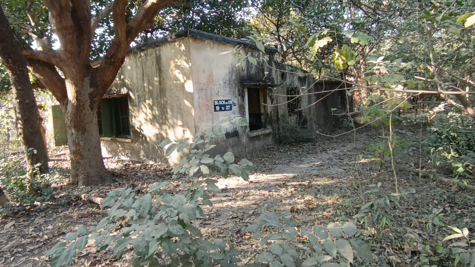 Minor Girl Sexual Assault