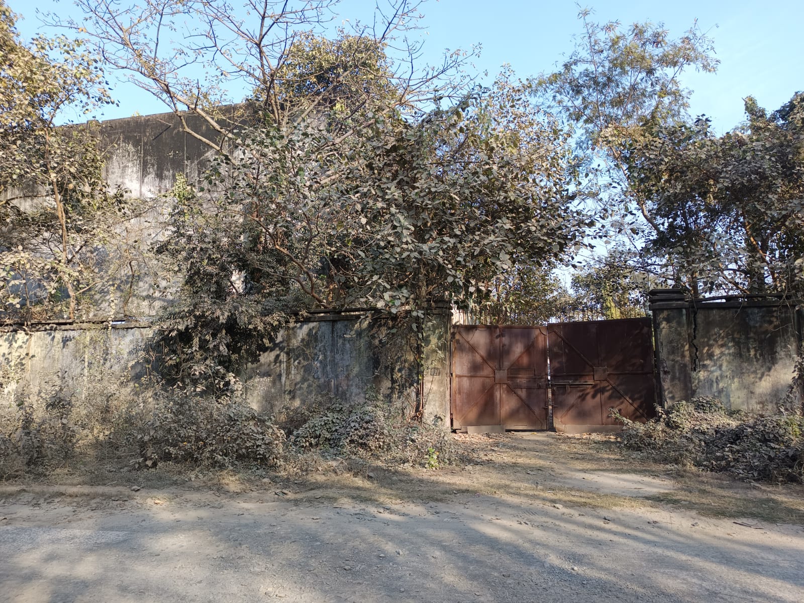 Minor Girl Sexual Assault