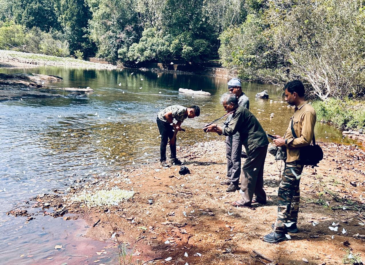 ARALAM  BUTTERFLY SANCTUARY  WILDLIFE  KANNUR