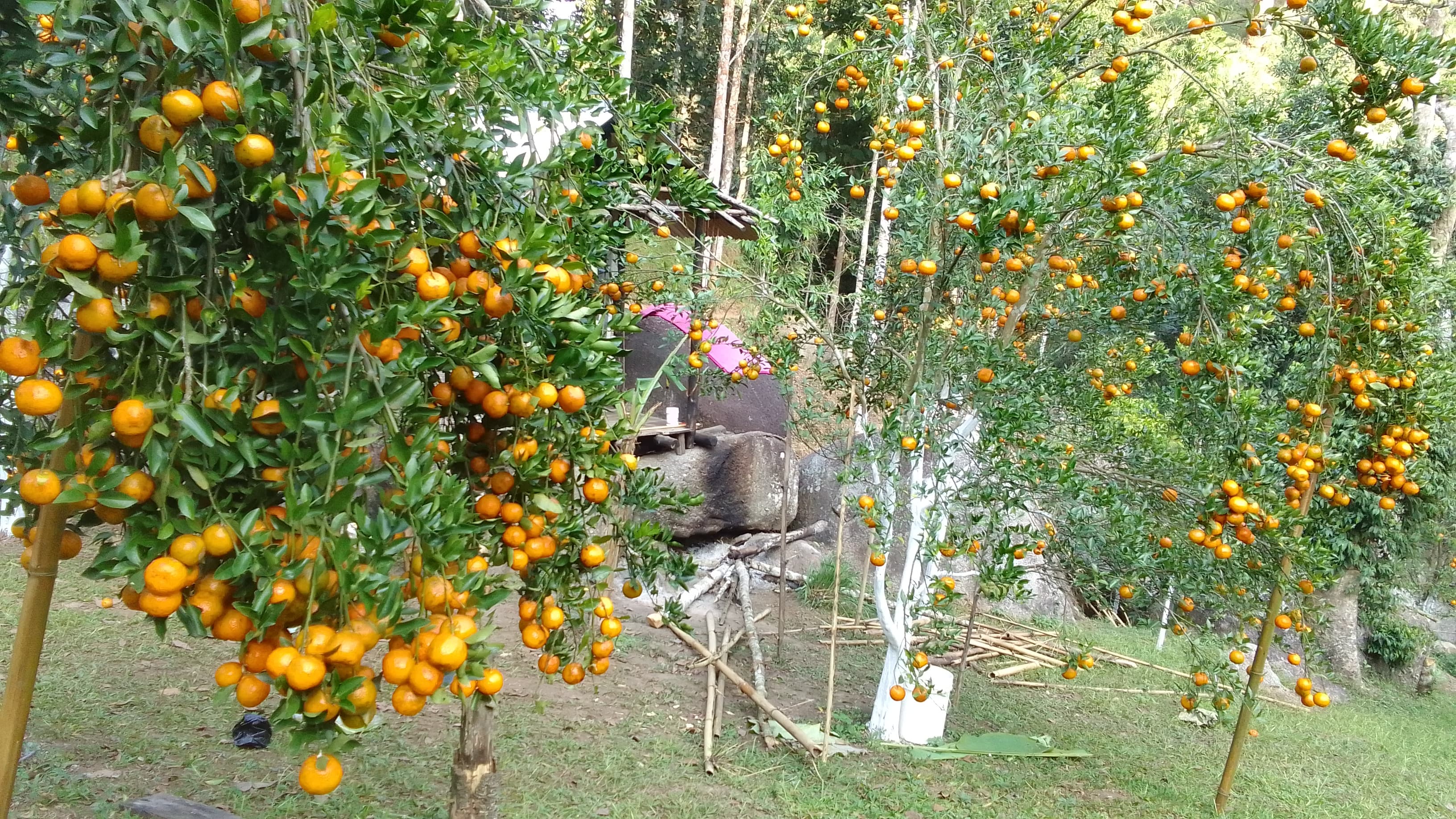 a beautiful tourist spot MARNGAR LAKE just 50km away from guwahati