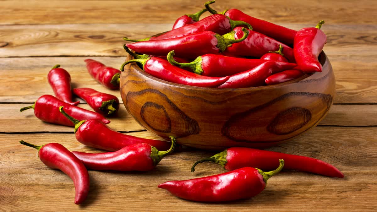 pandu_mirchi_pachadi