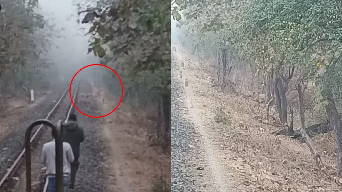 🔴 ક્રાઈમ પર દરેક અપડેટ - ShareChat