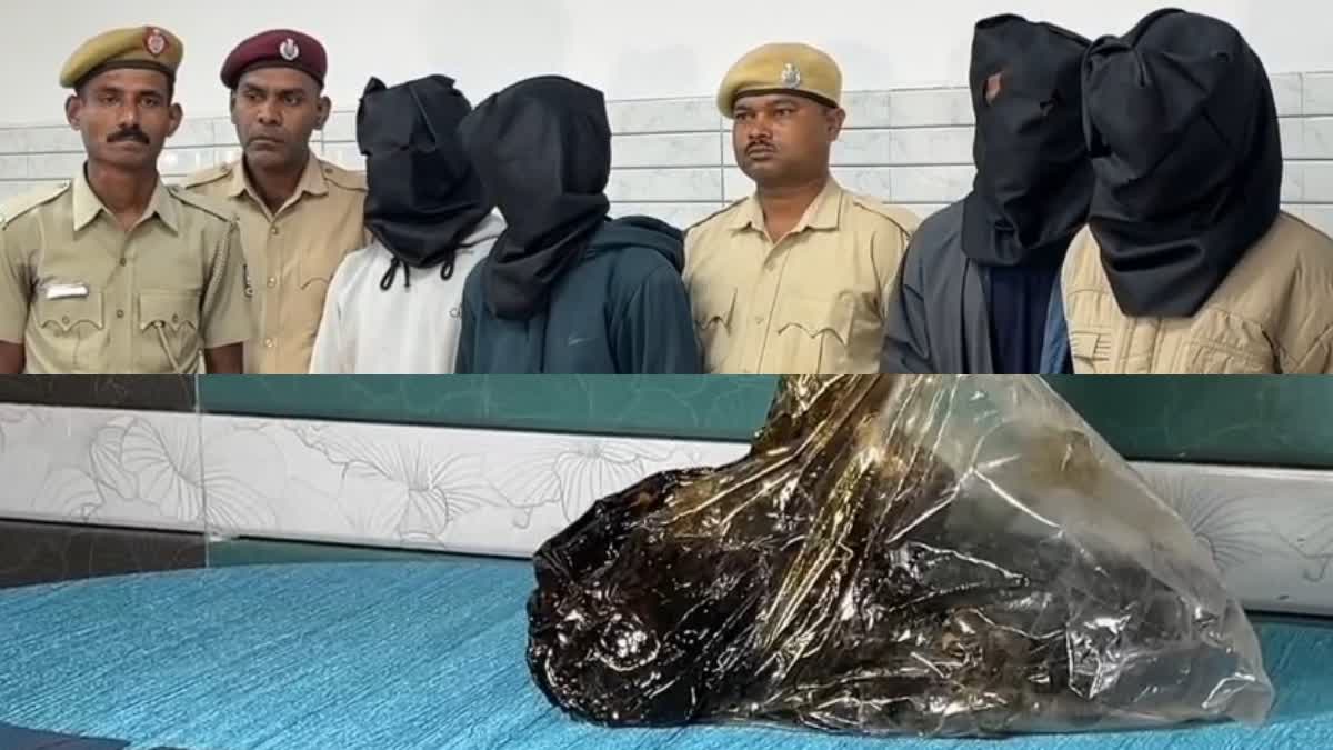 Big success for Malkangiri police; Ganja oil factory busted, 4 arrested