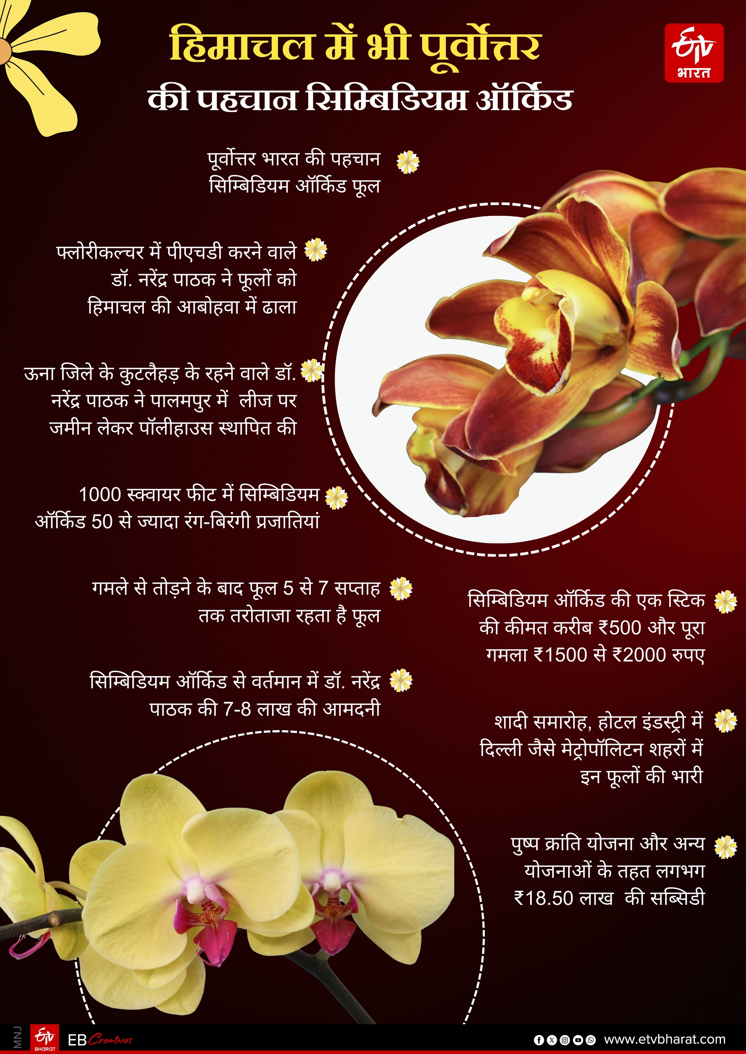 Northeast Famous Flowers in Palampur