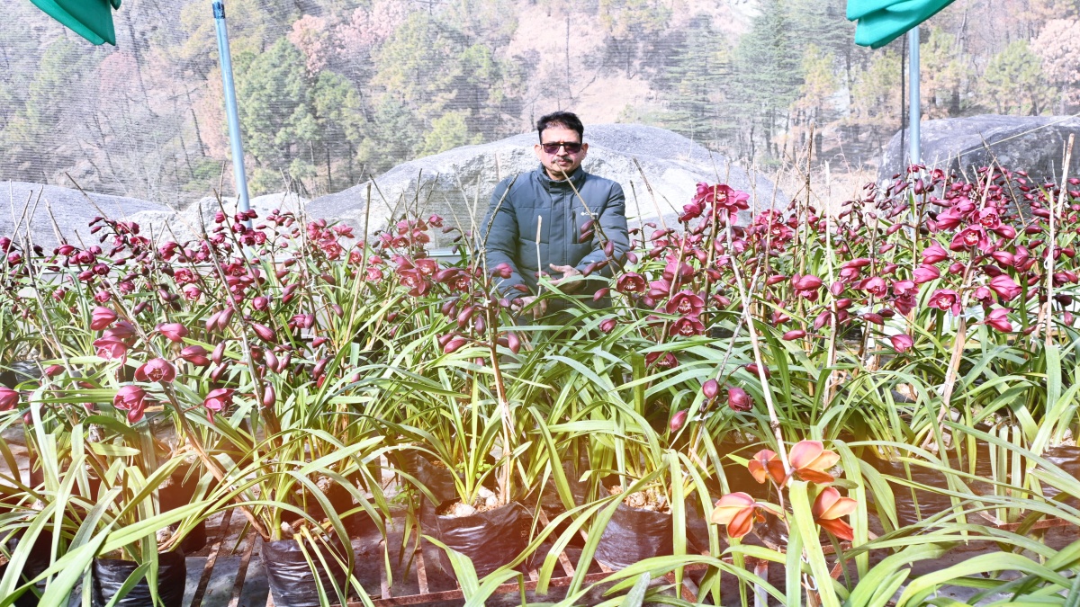 Progressive Horticulturist Narendra Pathak