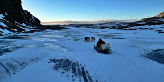 Greenland's Dog Sled Mushers Hope For The Arrival Of Snow Amid Record Hot Winter