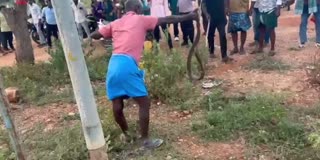 போக்குவரத்து சாலையில் திரிந்த நாக பாம்பை பிடித்த முதியவர்