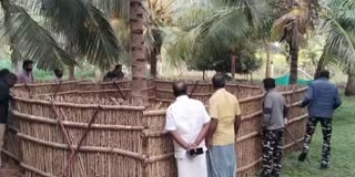 தோட்டத்தில் மர்மமான முறையில் இறந்து கிடந்த செம்மறி ஆடுகள்