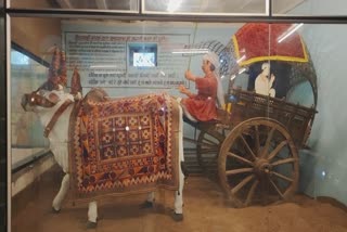 PANNA PRANNATH MUSEUM BULLOCK CART