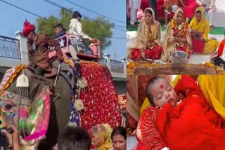 Grand Girl Child Born Celebration