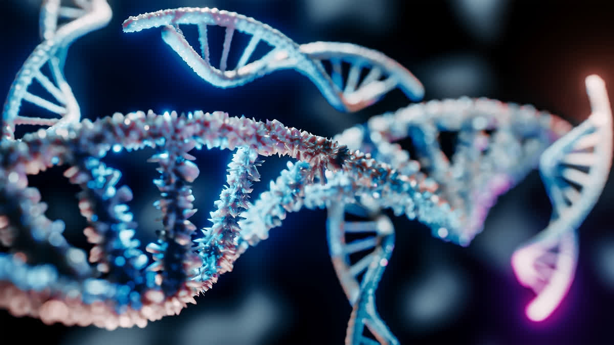 Explained: The Extraordinary Genetic Diversity of Indians