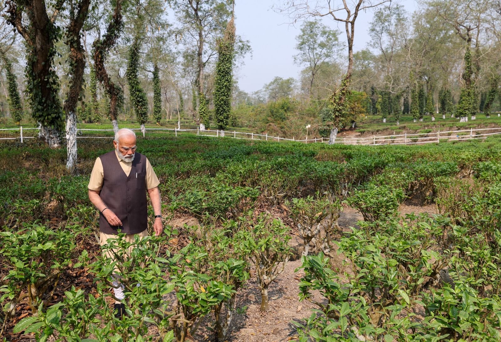PM Modi spends time at tea garden in Assam