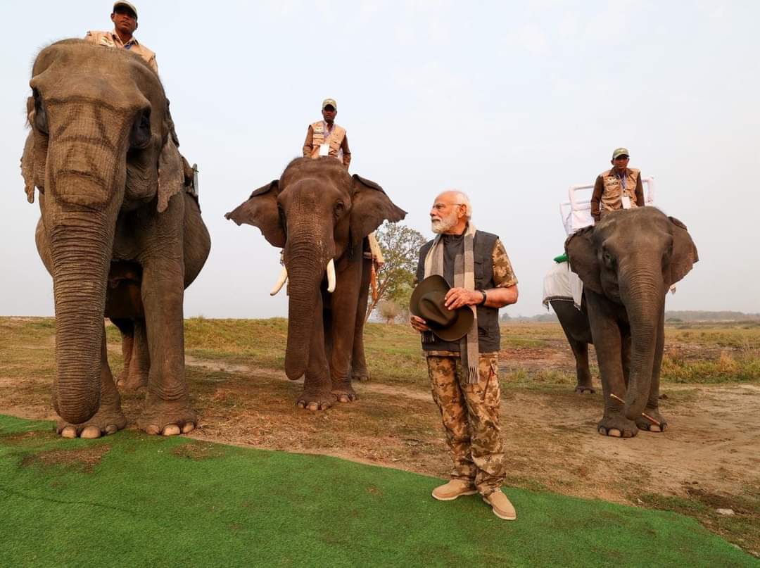 Modi's day out in Kaziranga