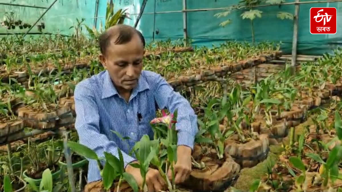 A teacher in Baihata has done orchid reservation on a commercial basis