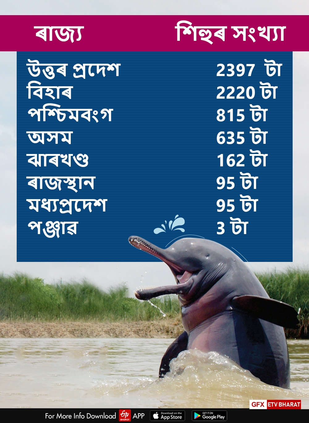 GANGES RIVER DOLPHIN