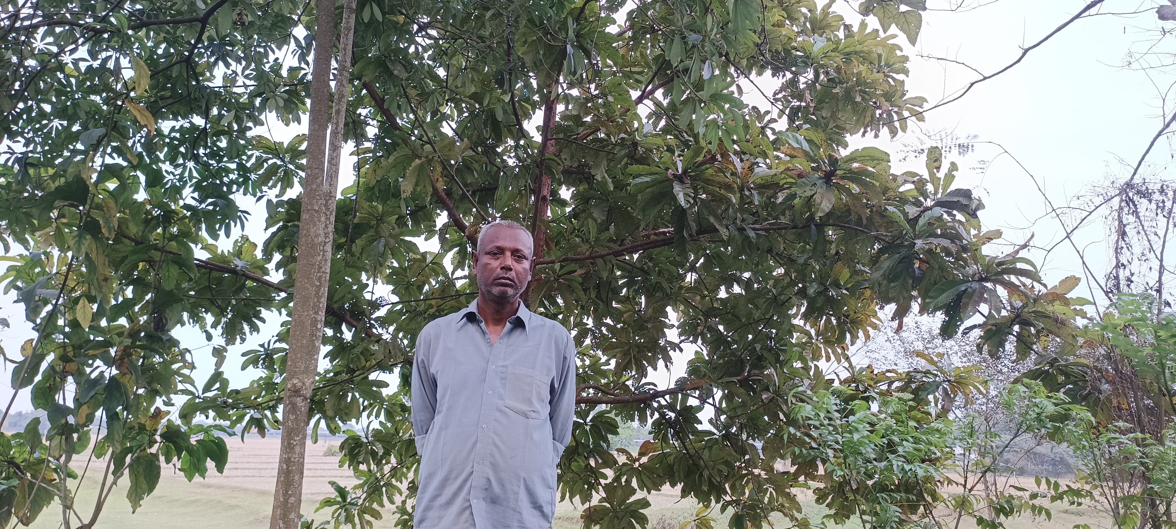 Elephant Apple Export from Assam