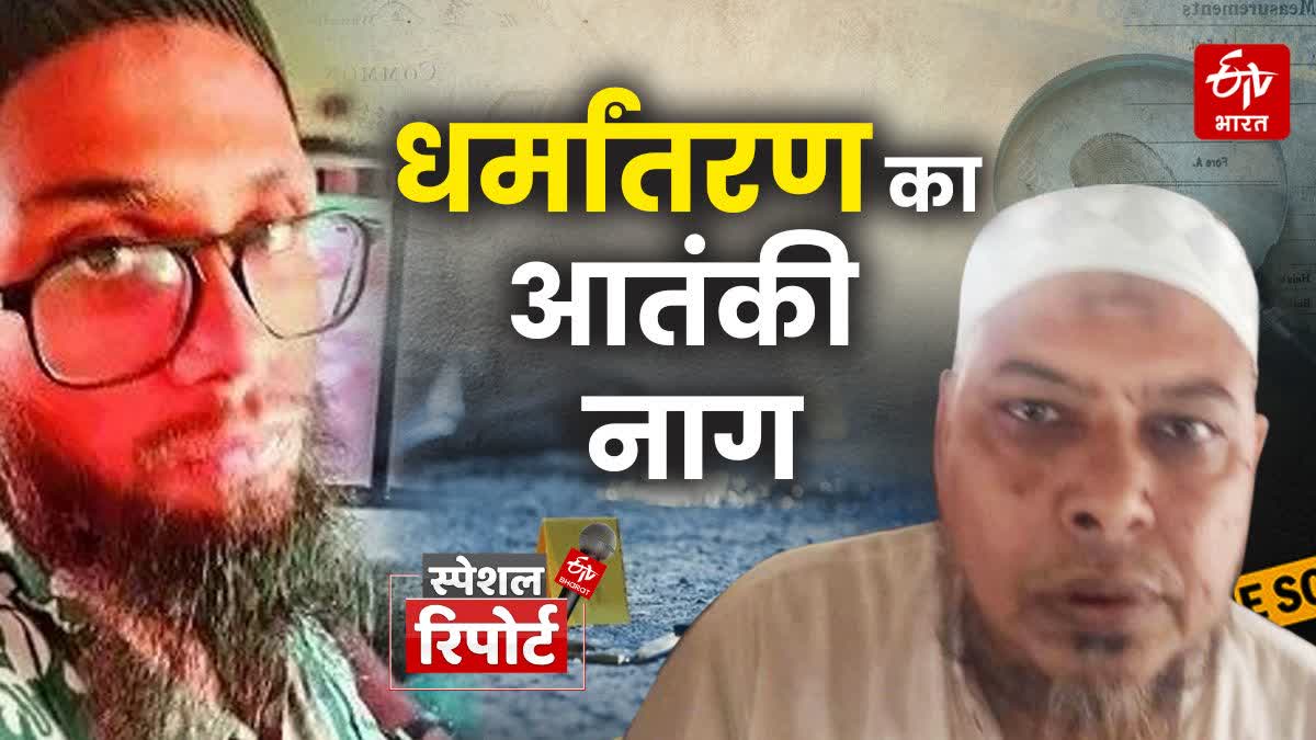 AYAN JAVED TERRORIST