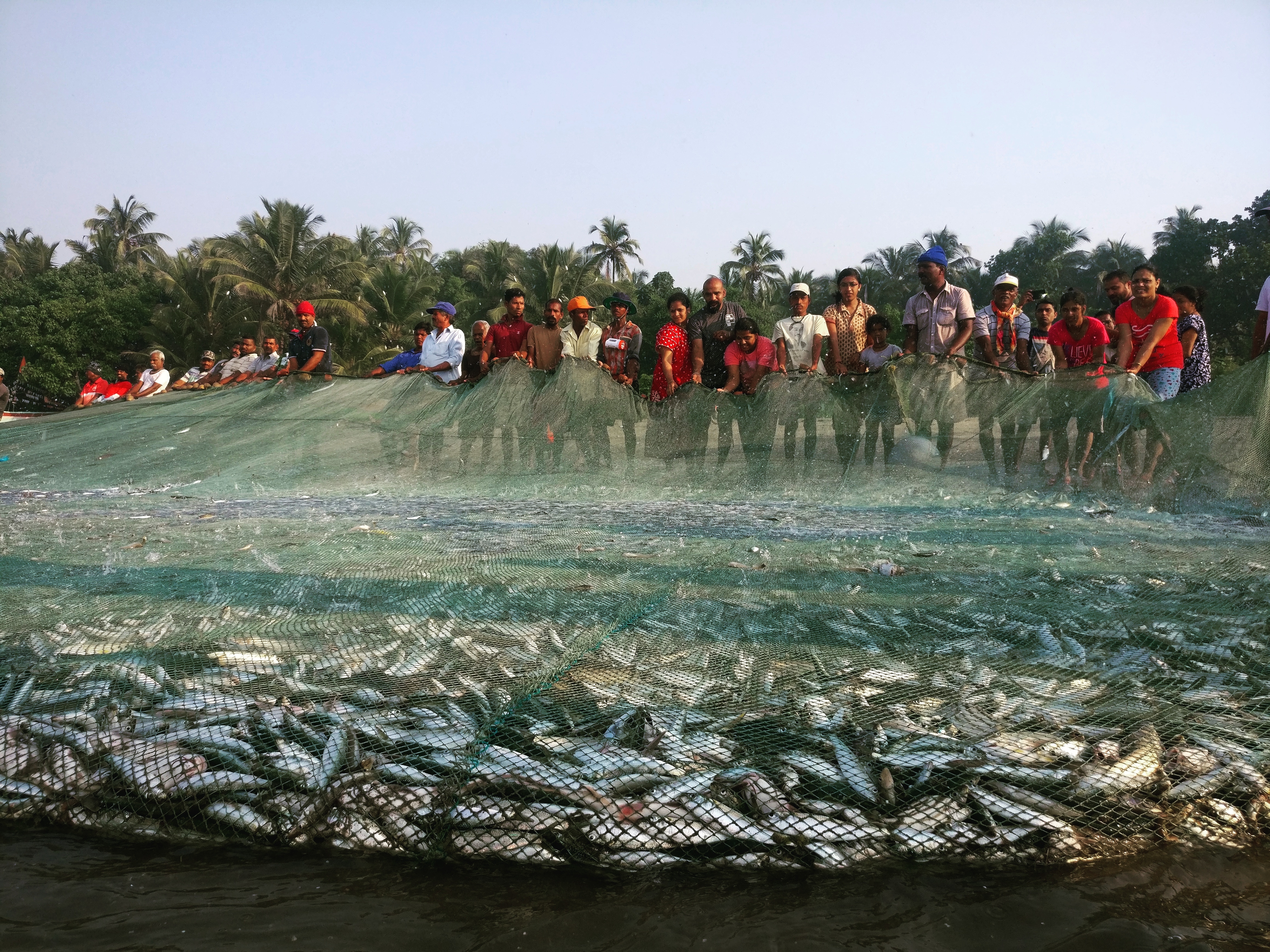 Fisher community in Malvan, Maharashtra retrieving a shore seine (2019)