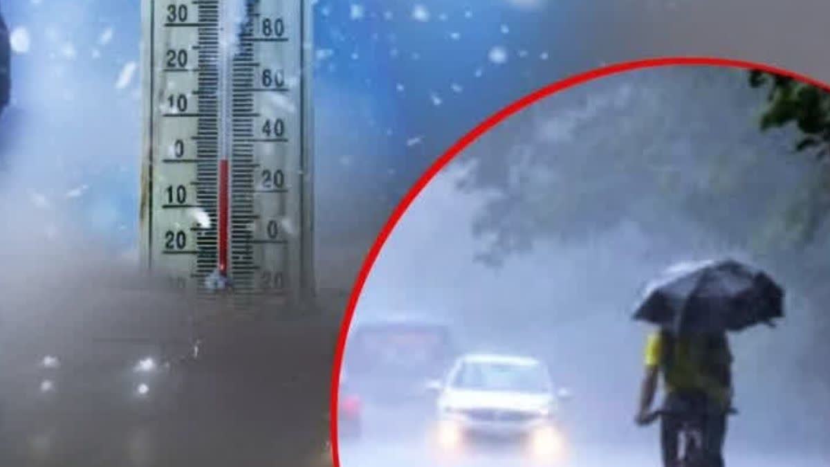 HARYANA WEATHER UPDATE