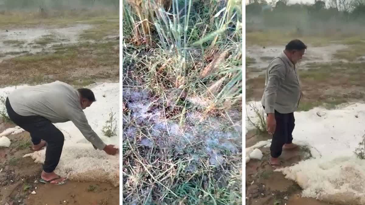HAILSTORM IN HARYANA