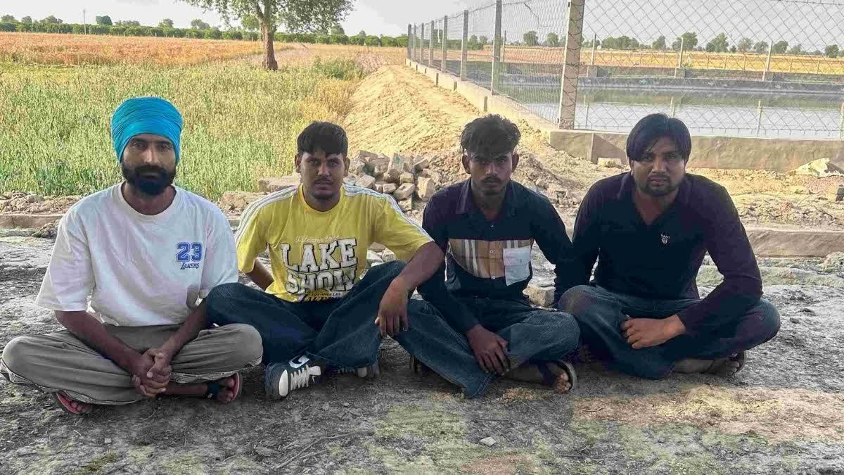 ETV Bharat News - Other - News Image