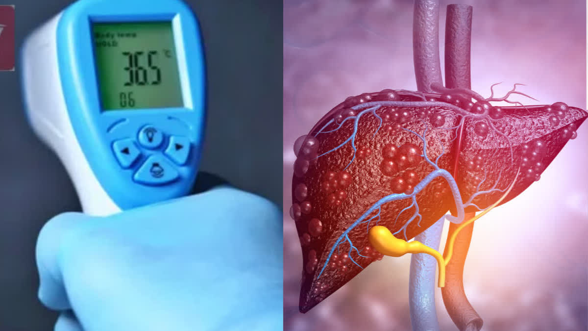 A new report recommends liver screening for people suffering from Type 2 diabetes.