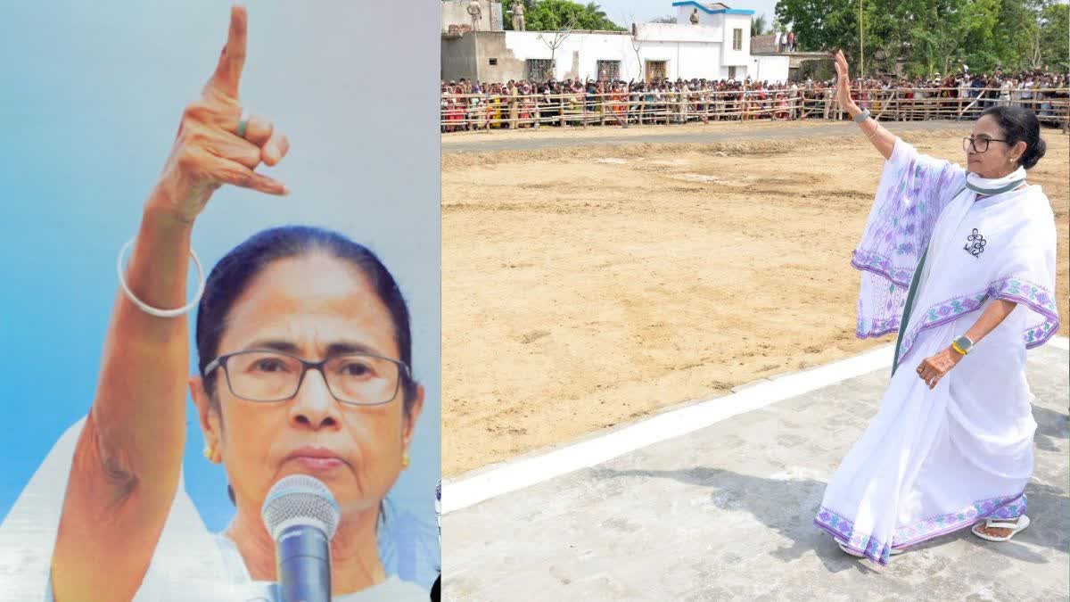 No house no car and a decline in assets how much jewelry does Mamata own