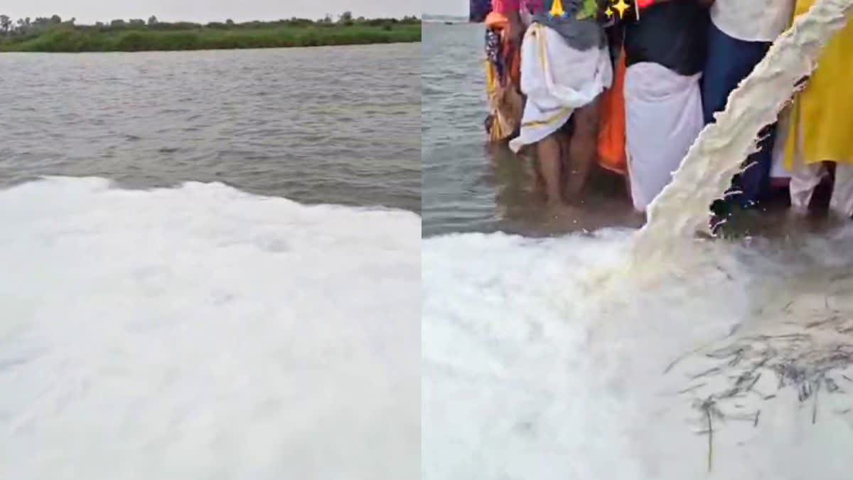 नर्मदा नदी के पानी का रंग बदला, टैंकर से 11 हजार लीटर दूध डाल सफेद किया नदी का प्रवाह
