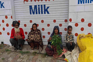 جموں و کشمیر میں خانہ بدوش قبائل کی سالانہ ہجرت خطرناک مرحلے میں داخل،بنیادی سہولیات کا شدید فقدان