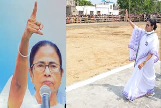 No house no car and a decline in assets how much jewelry does Mamata own