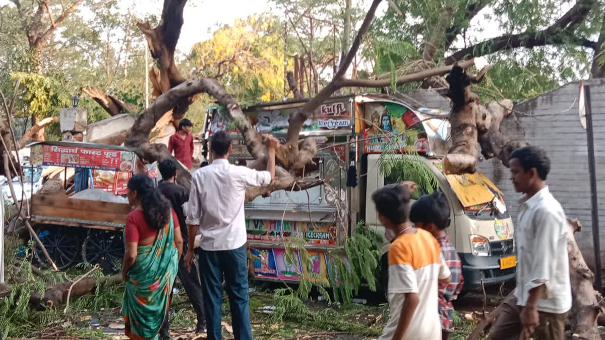 आंधी-तूफान, बारिश और वज्रपात से मौत