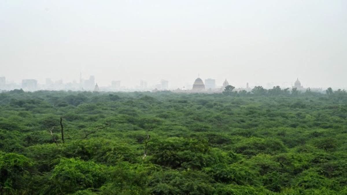Govt Declares 673 Hectares Of Delhi Central Ridge Area As Reserve Forest