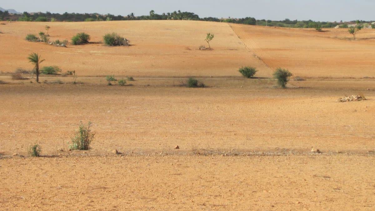 Climate Warming Accelerates Spread Of Antibiotic Resistance In Soils: Study