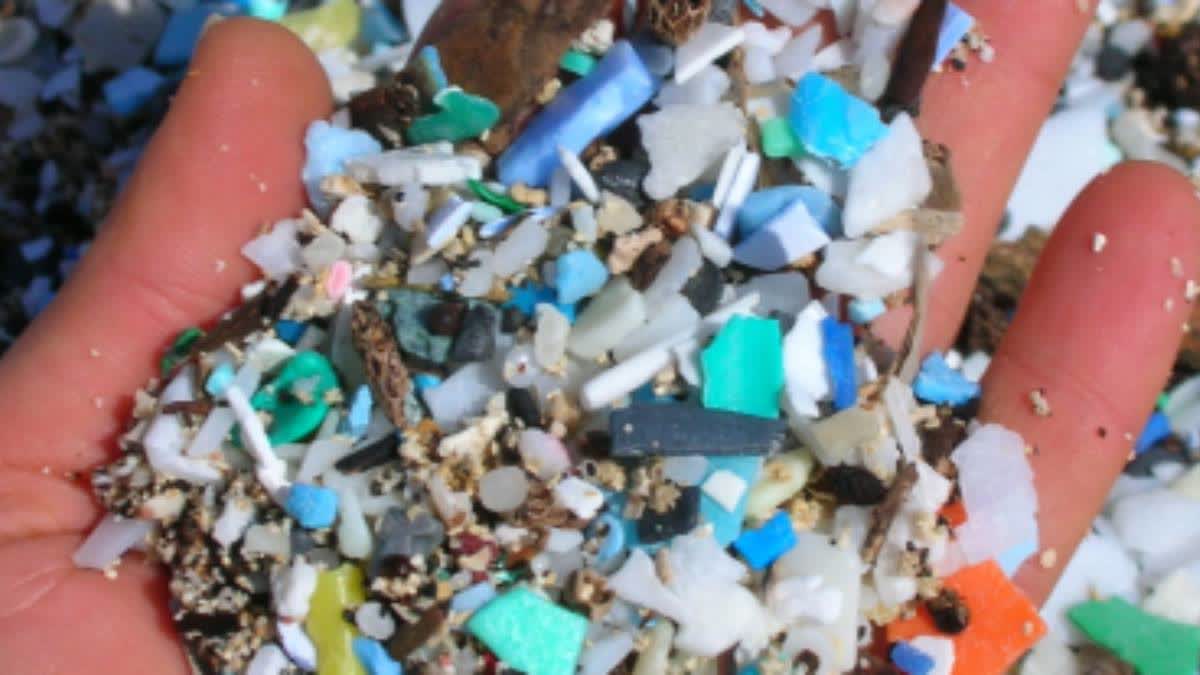 Microplastics In Salt, Sugar: NGT Raps Environment Ministry For ...