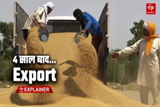 Etv Bharat