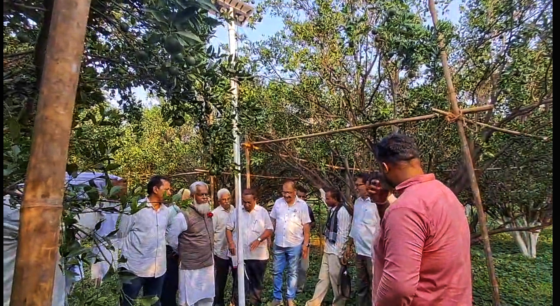 AI in orange cultivation