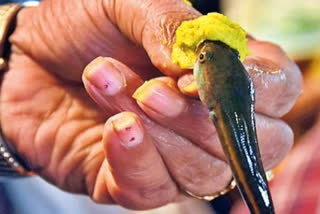 Fish Prasadam Distribution Begins In Hyderabad, Lakhs Expected At Nampally Exhibition Grounds