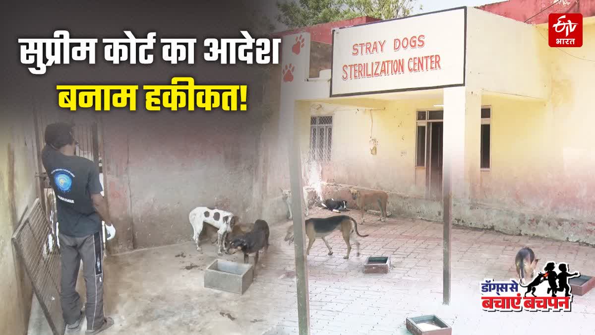 जयपुर के श्वान गृह का हाल