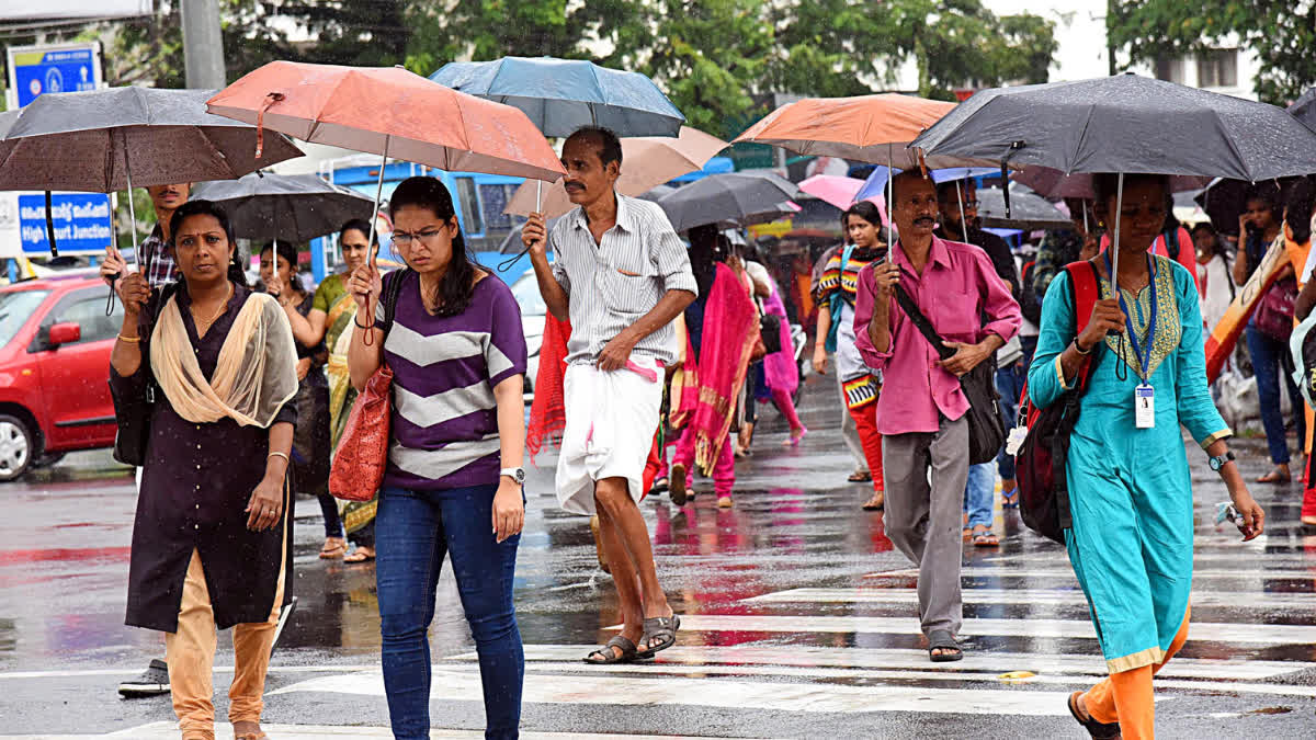 Kerala Monsoon Updates Yellow Alert In Kerala Kerala Rain Holidays Northern Kerala Rain