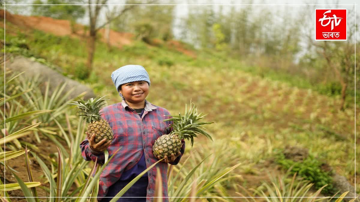 4th Meghalaya Pineapple Festival fest in Delhi from 10 to 12 July 2026